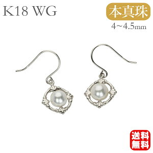 p[ sAX ^ Y tbNsAX yA k18 18k 18 zCgS[h {^ AR  JWA lC  v[g Mtg WG[ ubNtCf[