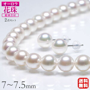 p[ lbNX sAX CO 2_Zbg ^lbNX p[lbNX I[Ԏ^ 7-7.5mm ^Ȋw ӕʏ  tH[} JWA v[g Mtg W