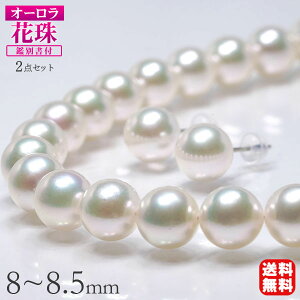 Ԏ^ p[ lbNX ^lbNX sAX CO 2_Zbg I[Ԏ^ 8-8.5mm ^Ȋw ӕʏt  tH[} JWA v[g Mtg WG[