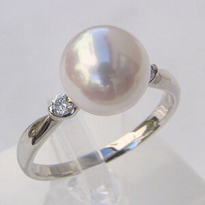 y|Cg10{ 10/27 9:59܂Łzp[ O v`i pt900 ^ w {^  AR _Ch  uC_ ۏ؏t P[Xt lC  v[g Mtg WG