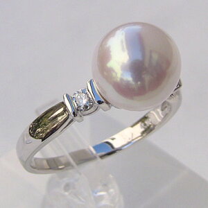 y|Cg10{zp[ O v`i pt900 ^ w {^  AR _Ch  uC_ ۏ؏t P[Xt lC  v[g Mtg WG[ ubN