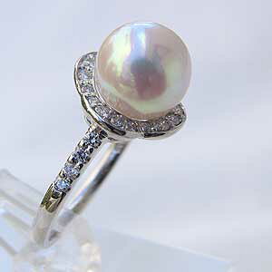 p[ O v`i pt900 ^ w {^  AR _Ch  uC_ ۏ؏t P[Xt lC  v[g Mtg WG[ nEB