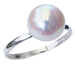 y|Cg10{zp[ O k18 18k 18 ^ ^ zCgS[h  uC_ ۏ؏t P[Xt  ig lC  JWA gh v[g M