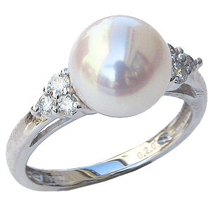 y|Cg10{ 10/27 9:59܂Łzp[ O v`i pt900 ^w {^  AR fB[X _Ch  JWA ig tH[} lC  v[g M