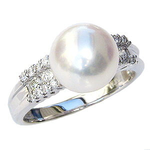 y|Cg10{zp[ O p[O ^ fB[X ^ _Ch k10 zCgS[h p[ AR   uC_ ۏ؏t v[g Mtg WG