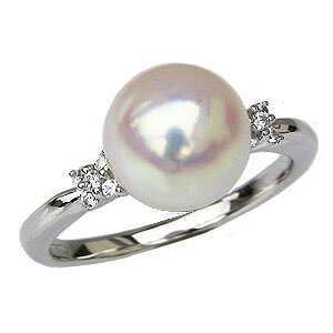 y|Cg10{zp[ O ^ w fB[X Ԏ^ _Ch pt999 v`i  lC JWA v[g Mtg WG[ ubNtCf[