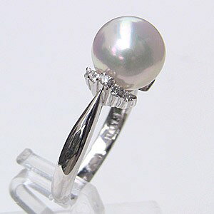 p[ O v`i pt900 ^ w {^  AR _Ch  uC_ ۏ؏t P[Xt lC  v[g Mtg WG[ nEB