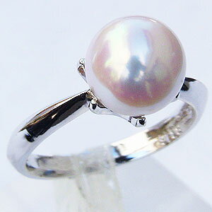 �y�|�C���g10�{���z�p�[�� �����O �v���`�i pt900 �^��w�� �{�^�� ������ �A�R�� �������� �t�H�[�}�� �J�W���A�� ���i�g�� �������� �v���[���g �M�t�g �W���G���[ �N���X�}�X