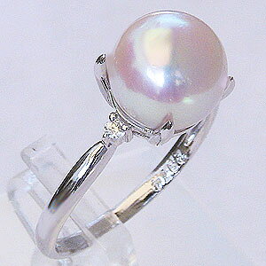 y10%OFF 12/3 20zp[ O p[O ^ fB[X ^ _Ch k10zCgS[h AR   uC_ ۏ؏t  v[g Mtg 