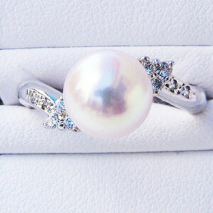 y|Cg10{zO w  ^@^p[ O p[O ^ zCgS[h _Ch fB[X  lC  v[g Mtg WG[ 