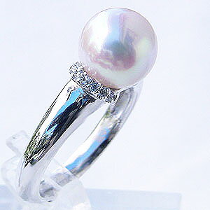 p[ O v`i pt900 ^w {^  AR fB[X _Ch  iۏ؏t lC  JWA v[g Mtg WG[ nEB