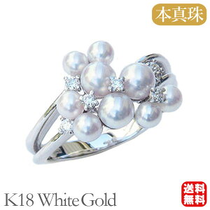 p[ O ^w {^  AR xr[p[ _Ch k18 18k 18 zCgS[h t  JWA ig tH[} v[g Mtg WG[ n