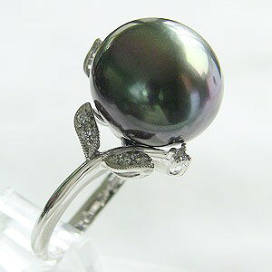 y|Cg10{zp[ O jZbNX WF_[X ^ w ^q`^ _ChO[n 13mm pt900 v`i lC  JWA gh tH[} v[