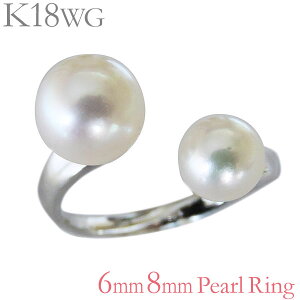 y10%OFF 9/11 1:59܂Łzp[O ^샊O ^ O w {^ k18zCgS[h 6mmA8mm O fB[X AR earl ۏ؏t  lC  v[g 