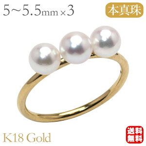 y|Cg10{Izp[ O  18 k18 18k CG[S[h ig ^ w {^ AR 5mm ^3t Vv d˒ fB[X  JWA gvp[ 