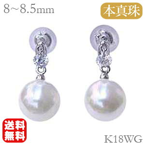 y|Cg10{zAR{^ 18 18k k18 zCgS[h yA sAX _Ch Eh` VRLb` 0.22ct [U[z[ Ԃ牺  h   v