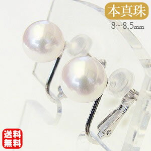 y|Cg10{ 10/2 9:59܂Łzp[ CO ^CO ^ AR  8-8.5mm zCgS[h k14 14k 14 lWol   tH[} JWA v[g M