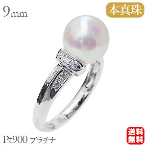 p[ O v`i pt900 ^ w {^  AR fB[X _Ch  iۏ؏t lC  JWA v[g Mtg WG[ nEB