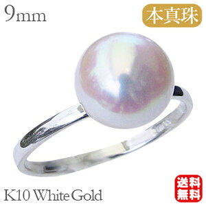 y|Cg10{zp[ O ^w  AR {^ 9mm k10 10k 10 zCgS[h Vv  fB[X ig JWA tH[} v[g Mtg WG