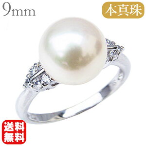 y|Cg10{zp[ O v`i pt900 ^w {^  AR fB[X I[Ԏ^ _Ch  JWA ig tH[} v[g Mtg W