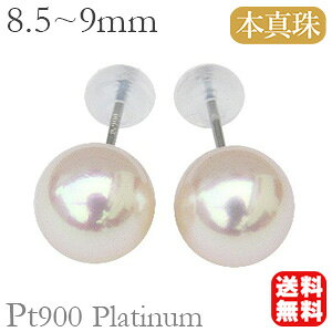 p[ sAX ^ X^bh v`i pt900 {^  AR 8.5mm-9mm  Vv tH[} ig JWA  v[g Mtg WG[