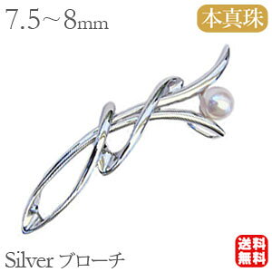 y|Cg10{ 10/27 9:59܂Łzp[ u[` tH[} {^  AR 7.5-8mm Vo[  Zj[ T lC  v[g Mtg WG[ nEB