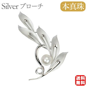 y|Cg10{ 10/27 9:59܂Łzy{^zp[ u[` tH[} Zj[  p[eB[ Vo[ Y ifUC v[g Mtg WG[  