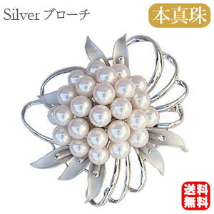 y|Cg10{zy{^zp[ u[` tH[} Zj[  p[eB[ Vo[ Y ifUC v[g Mtg WG[   ubNt