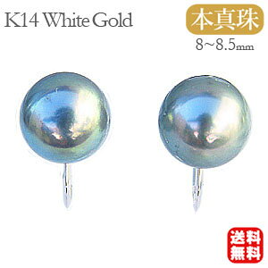 y10%OFF 12/11 1:59܂ŁzCO p[ {^ O[n k14 zCgS[h  lC  JWA gh v[g Mtg WG[ NX}X