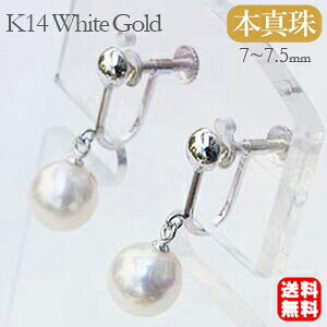 y|Cg10{zp[ CO p[hCO ^  AR 7mm-7.5mm k14 zCgS[h  lC  JWA gh v[g Mtg WG[ 