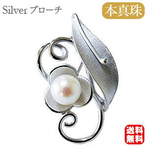 y|Cg10{ 10/27 9:59܂Łzy{^zp[ u[` tH[} Zj[  p[eB[ Vo[ Y ifUC v[g Mtg WG[  