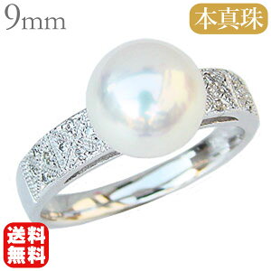 y10%OFF 12/11 1:59܂Łzp[ O ^샊O {^  AR k10 10k 10 zCgS[h _Ch fB[X  v[g Mtg WG[ NX}X