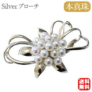 y|Cg10{ 12/11 1:59܂Łzy{^zp[ u[` tH[} Zj[  p[eB[ Vo[ Y ifUC v[g Mtg WG[  