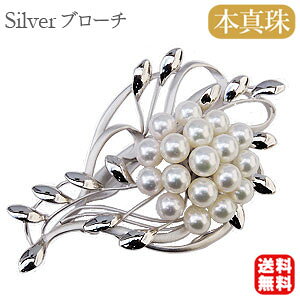 y|Cg10{ 10/27 9:59܂Łzy{^zp[ u[` tH[} Zj[  p[eB[ Vo[ Y ifUC v[g Mtg WG[  