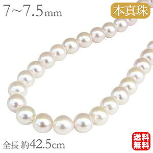 y10%OFF 12/11 1:59܂ŁzlbNX {^ zCgsNn 7-7.5mm p[ S42.5cm obN^ ^ 20{  fB[X  Zj[ tH[} JWA lC 