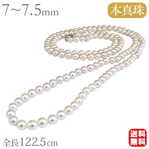 y|Cg10{z5{ lbNX p[OlbNX {^ S122cm obN^  fB[X  Zj[ tH[} JWA uC_ v[g 