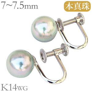 CO p[ ^ O[n k14 zCgS[h  lC  JWA gh v[g Mtg WG[ ubNtCf[