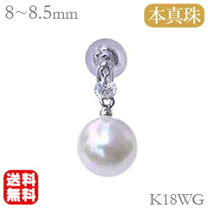 y|Cg10{zp[ sAX 18 ^sAX 18k zCgS[h k18 {^  AR Ўp _Ch  ig JWA v[g Mtg WG[ ubNt