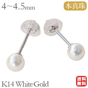 p[sAX ig AR{^ p[ sAX 4mm-4.5mm k14 zCgS[h yA  lC  JWA v[g Mtg WG[ nEB