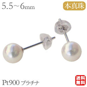 p[sAX ig ^ p[ sAX {^ AR^ 5.5mm-6mm pt900 v`i  lC  JWA v[g Mtg WG[ nEB