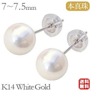 y10%OFF 12/11 1:59܂Łzp[sAX p[ sAX 14k k14 14 zCgS[h yA ^ AR  {^ 7mm-7.5mm X^bh ig   lC  JWA v