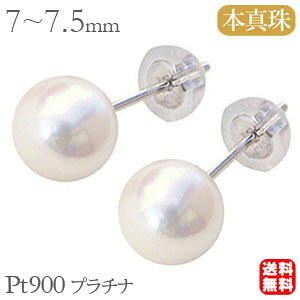 y|Cg10{ 10/2 9:59܂Łzig sAX ^sAX p[sAX p[ sAX ^ sAX X^bhsAX {^ AR^ 7.0mm-7.5mm pt900 v`i sAX   
