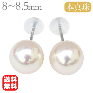 ^ sAX p[ X^bh v`i pt900 Vv {^  AR 8mm-8.5mm  tH[} JWA ig  lC  JWA v[g Mtg WG