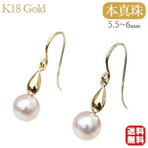 p[ sAX 18 18k 18k ig ^ ^ tbN {^ k18S[h yA  lC  JWA v[g Mtg WG[ nEB