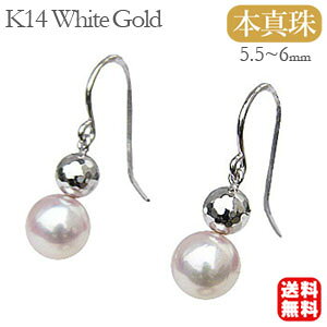 y|Cg10{ 10/2 9:59܂Łzp[sAX 14 p[ sAX 14k k14 ig ^ ^ tbN {^ zCgS[h yA Ԃ牺  h  lC  J