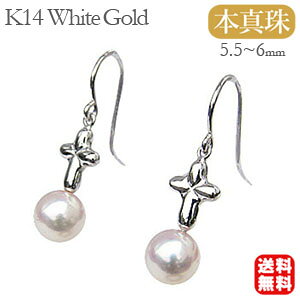 y|Cg10{Izp[sAX 14 p[ sAX 14k k14 ig ^ ^ tbN {^ zCgS[h yA NX \ Ԃ牺  h  lC 
