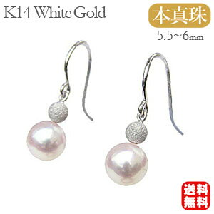 y|Cg10{zp[sAX 14 p[ sAX 14k k14 ig ^ Ԃ牺  h ^ tbN Ԃ牺 {^ zCgS[h yA   lC  J