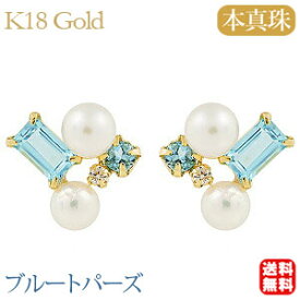 【ポイント10倍 4/24 20時～】パール ピアス 18金 18k 18k 真珠の ダイヤモンド ブルートパーズ 真珠 イエローゴールド ペア k18 あこや アコヤ 品質保証書 送料無料 ケース付き 6月誕生石 対応 普段使い 人気 おすすめ 母の日 2024 プレゼント ギフト 自分買い e