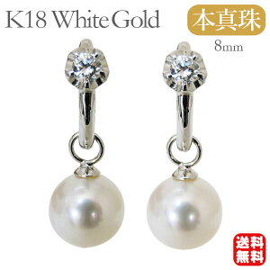 y|Cg10{zp[ sAX 18 k18 18k zCgS[h ig Vv  AR {^ 8mm _Ch yA fB[X  JWA v[g Mtg WG[ 