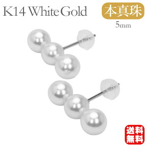 y|Cg10{zp[ sAX k14 zCgS[h 14k 14 ^ xr[p[ _up[ X^bh Y fB[X jZbNX jp  JWA v[g Mtg W